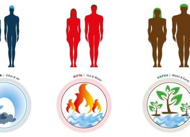 Dosha Quiz: Vata, Pitta or Kapha? Easy Ayurveda Body Types Test