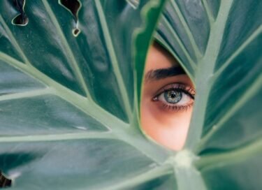 Find Relief for Eye Strain: 5 Soothing Ayurveda Rituals